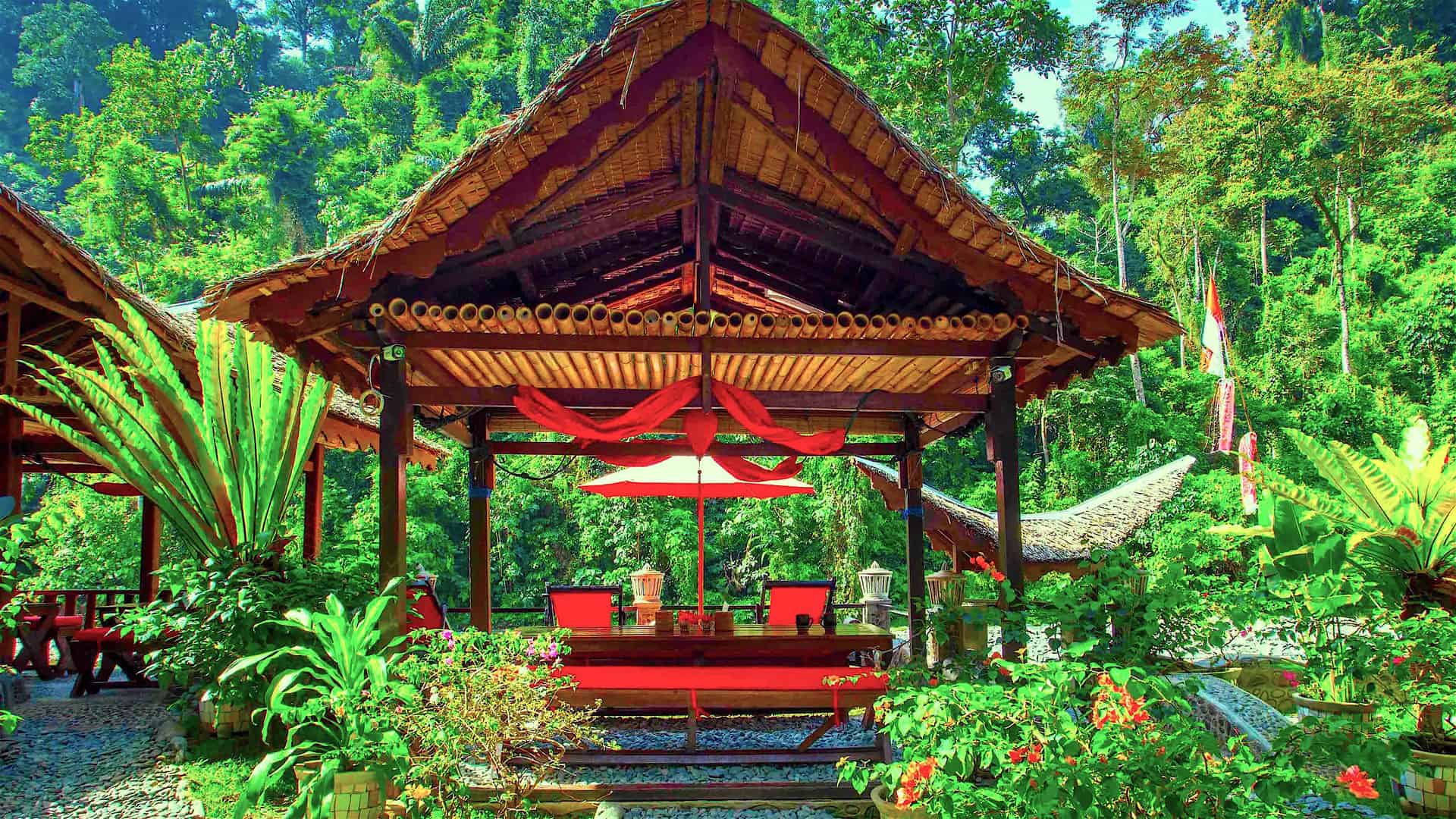 SUMATRA HOTEL - BOUTIQUE HOTEL BUKIT LAWANG - ROOMS WITH JUNGLE VIEWS - ECOTRAVEL COTTAGES & SUMATRA ECO TOURS BY SUMATRA ECOTRAVEL BUKIT LAWANG