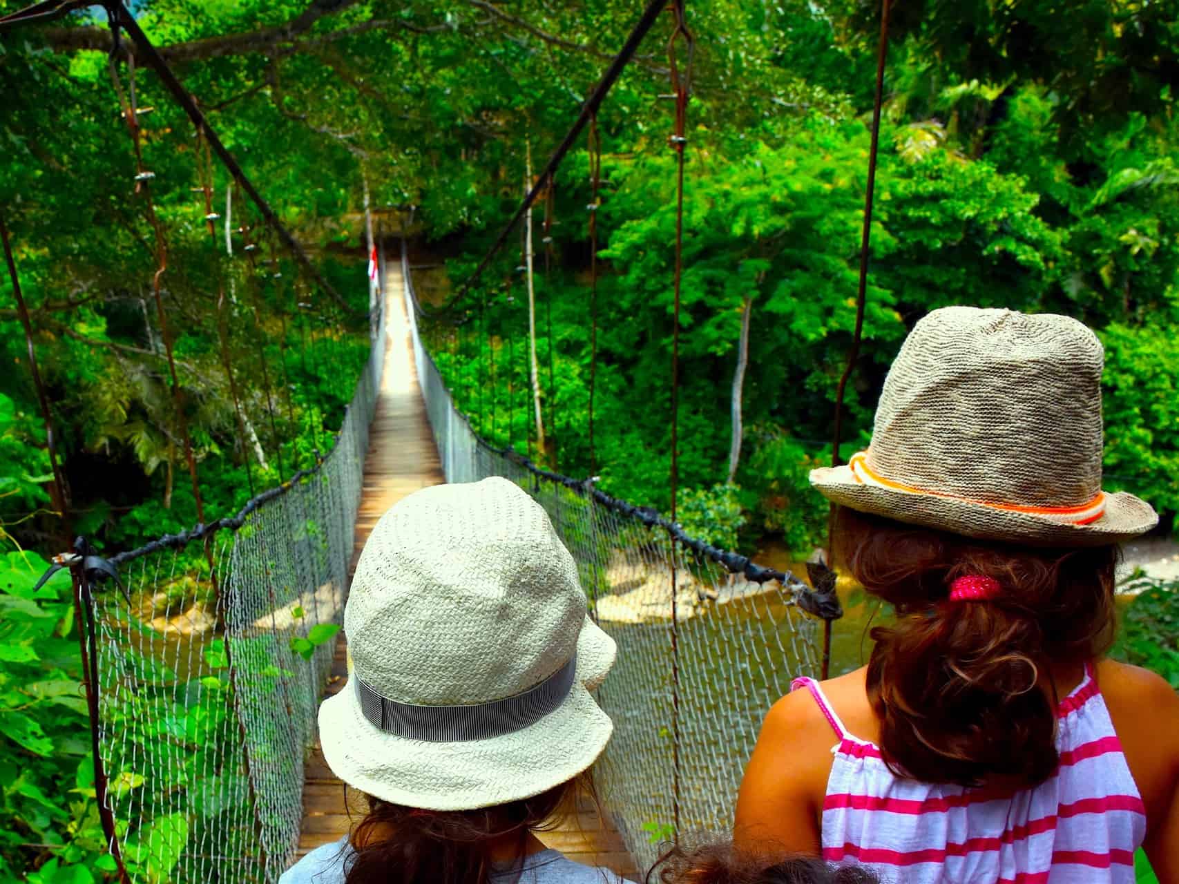 BUKIT LAWANG JUNGLE TREKKING FOR KIDS - SUMATRA HIGHLIGHT - SUMATRA ECO TOURS BY SUMATRA ECOTRAVEL