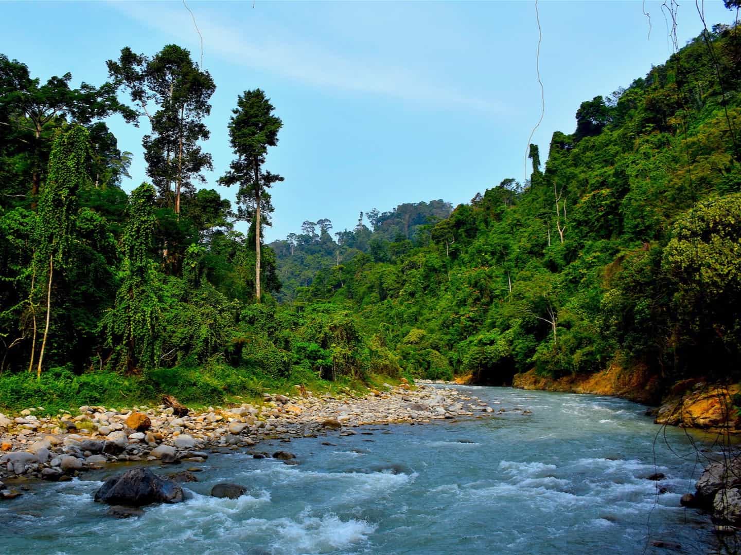 sumatra ecotravel bukit lawang tours & treks